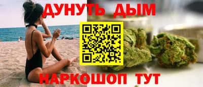 сатива Можга