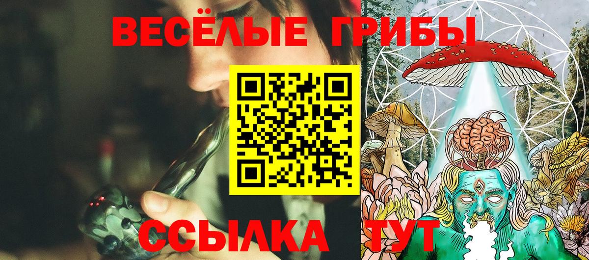 Галлюциногенные грибы MAGIC MUSHROOMS  Вход с VPN  Галлюциногенные грибы Psilocybine cubensis  Череповец 